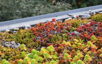the cost of Needham Market green roof installation