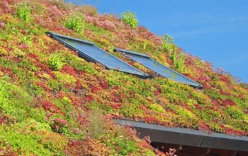 Needham Market living roof systems