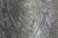 Needham Market fibreglass roof work